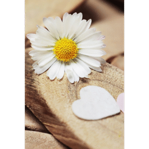 Konsultacje na dowolny temat, wcześniej ustalony